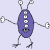 Wieczorny_Strateg88